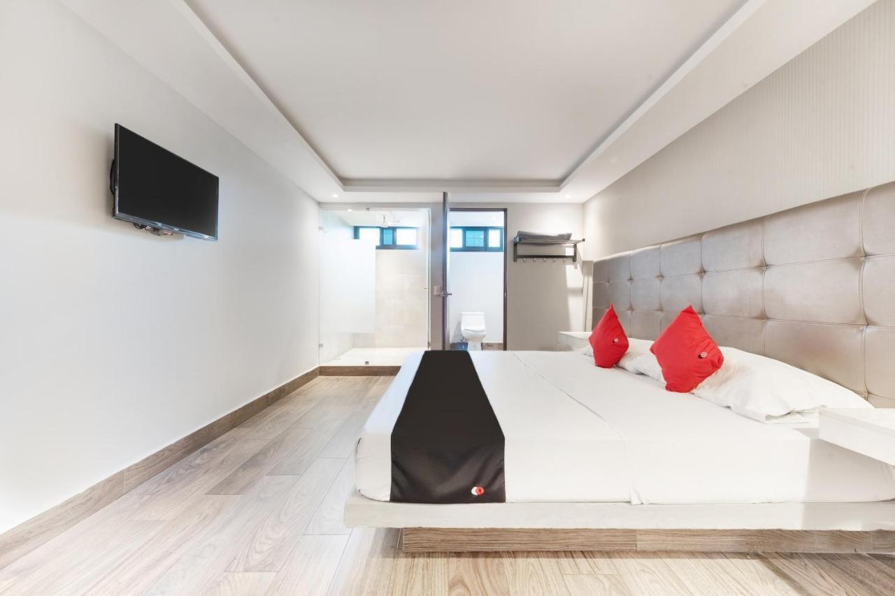 Hotel 202 Monterrey Bagian luar foto