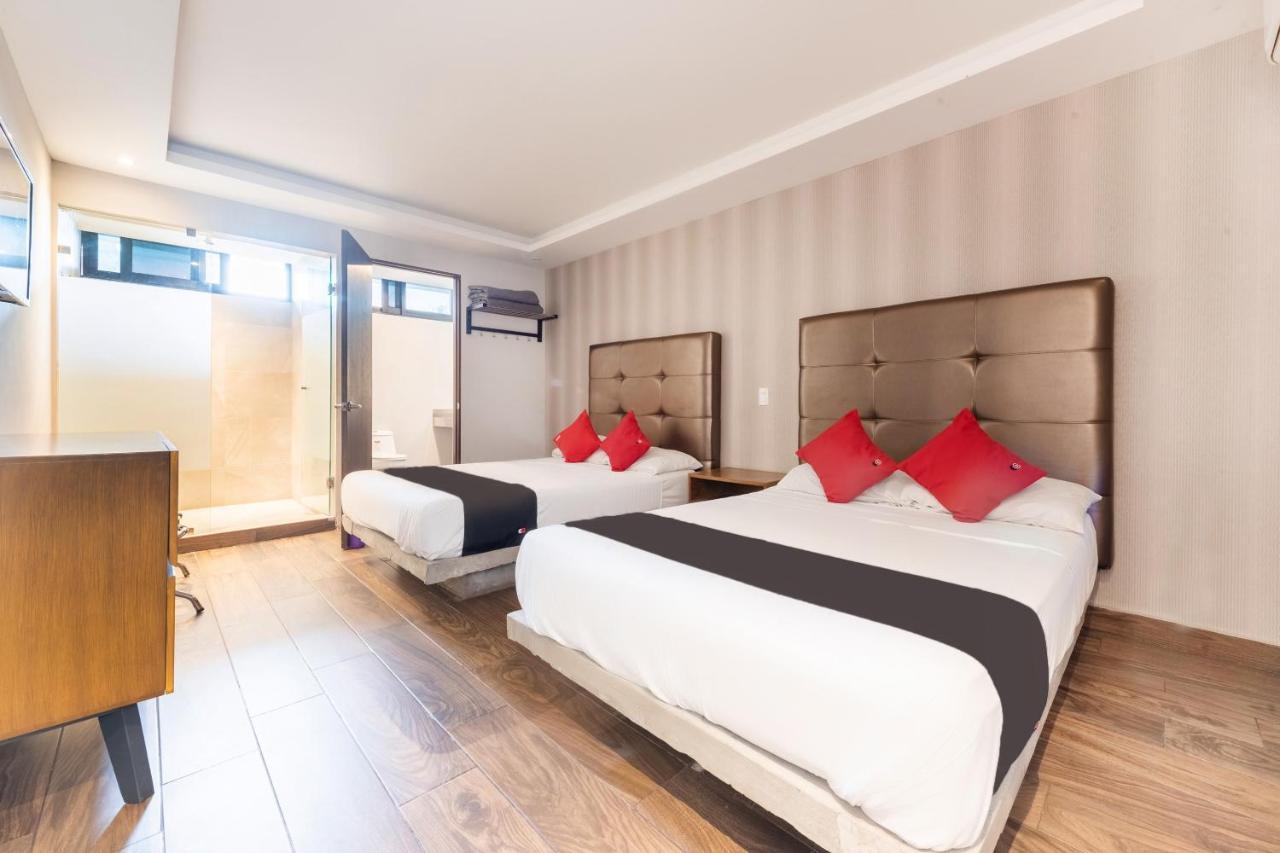 Hotel 202 Monterrey Bagian luar foto