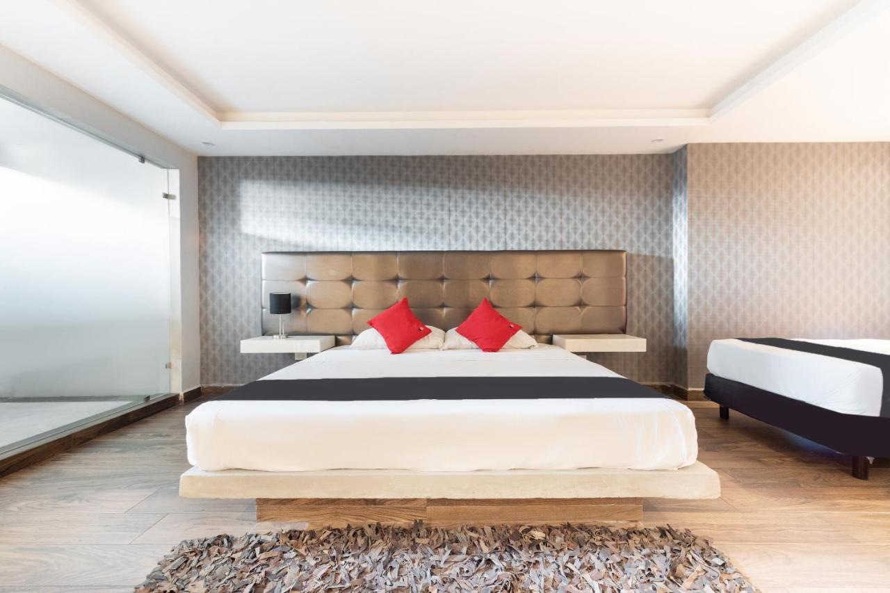 Hotel 202 Monterrey Bagian luar foto