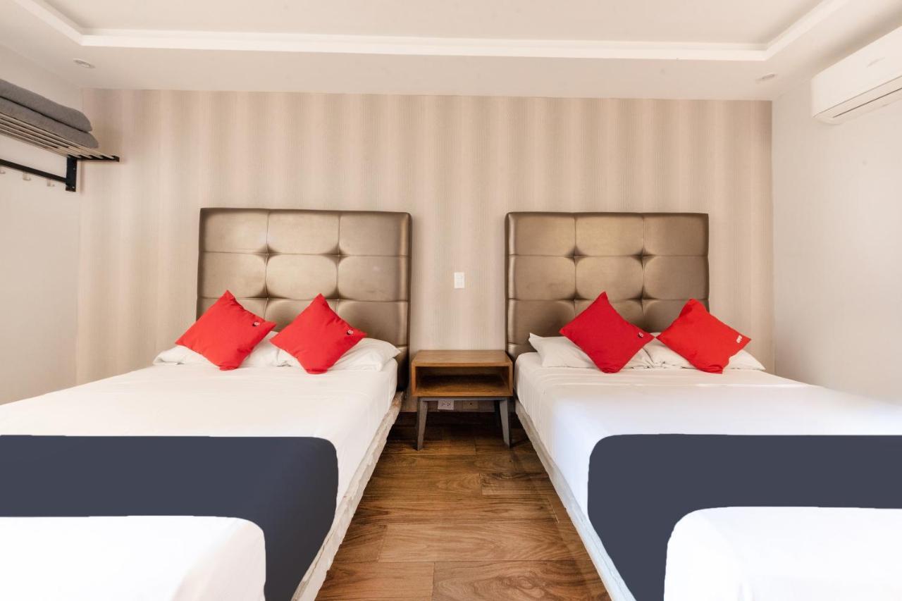 Hotel 202 Monterrey Bagian luar foto