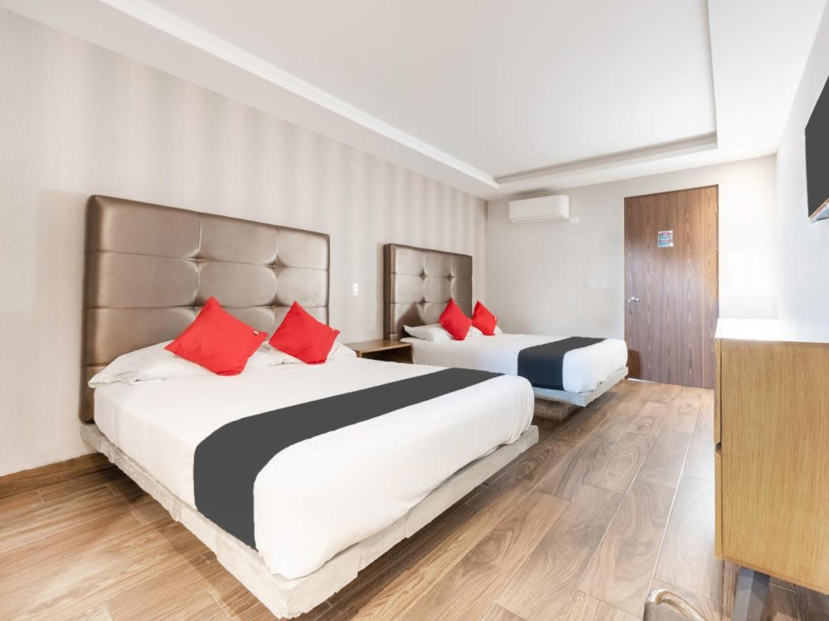 Hotel 202 Monterrey Bagian luar foto