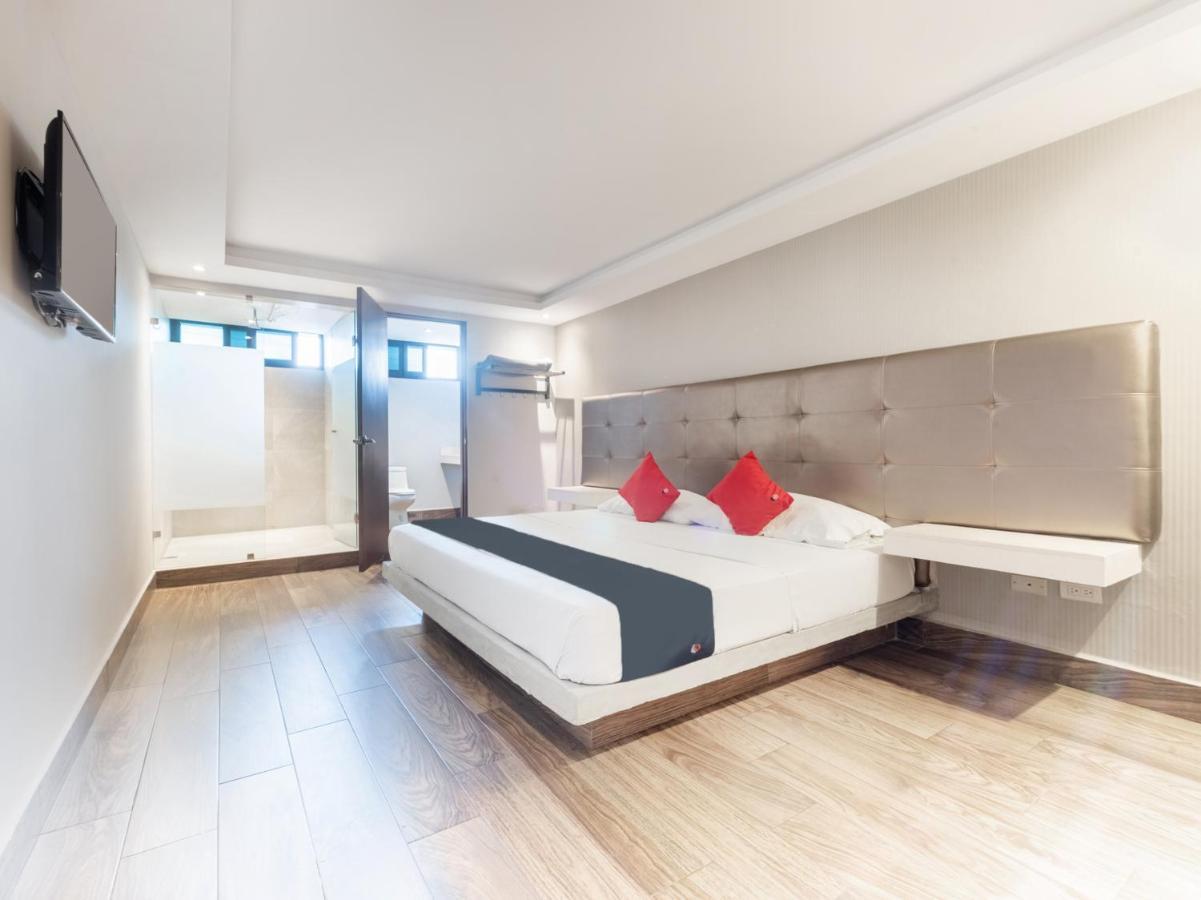 Hotel 202 Monterrey Bagian luar foto