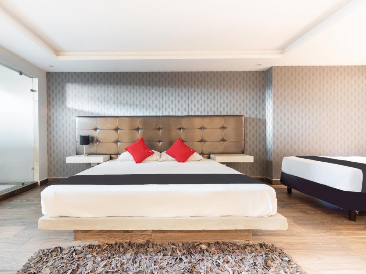 Hotel 202 Monterrey Bagian luar foto